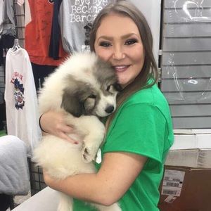 Meet your Posher, Anna